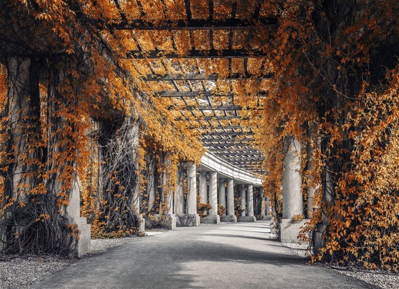 Sonbaharın Altın Dokunuşu: Tarihi Pergola'da Romantik Bir Yürüyüş Duvar Posterleri