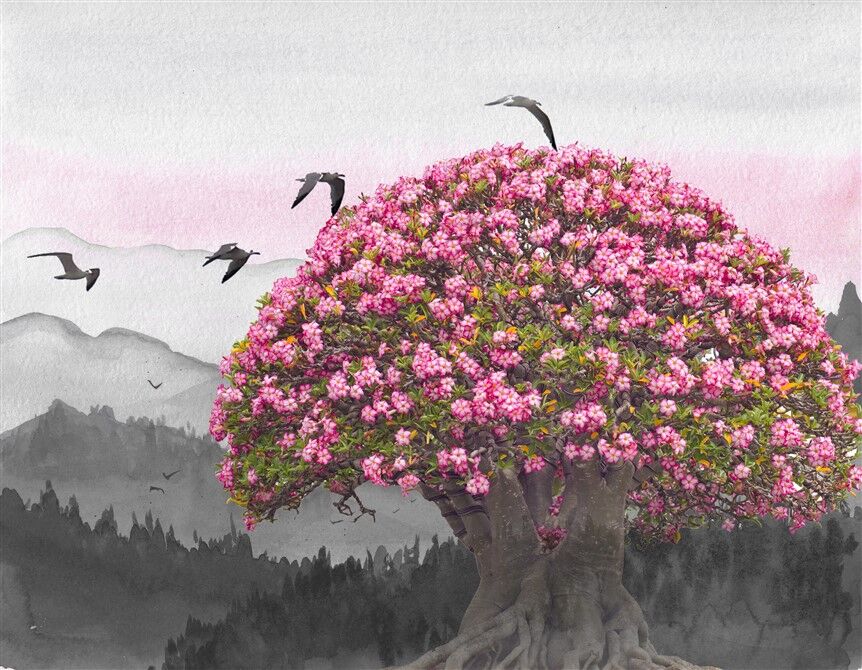 Pembe Çiçekli Ağaç Duvar Posteri