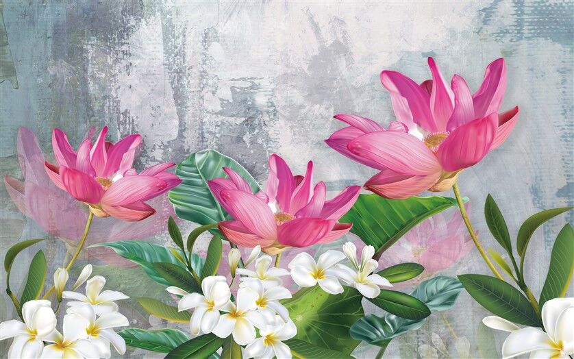 Pembe Lotus ve Beyaz Plumeria Çiçek Posteri