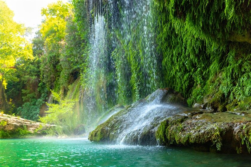 Yeşil Dallarla Çevrili Şelale ve Suyun Doğal Yansıması Posteri
