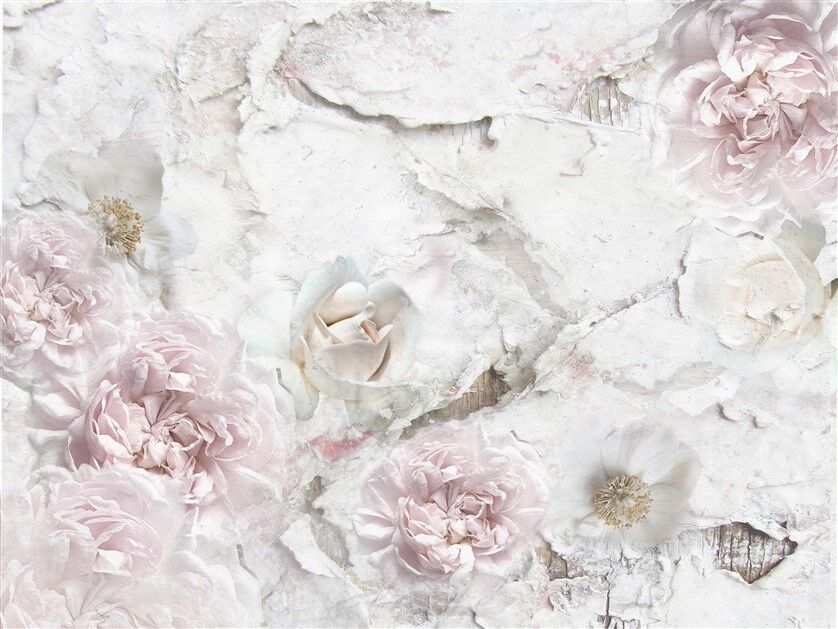 Pastel Pembe Peonies Posteri