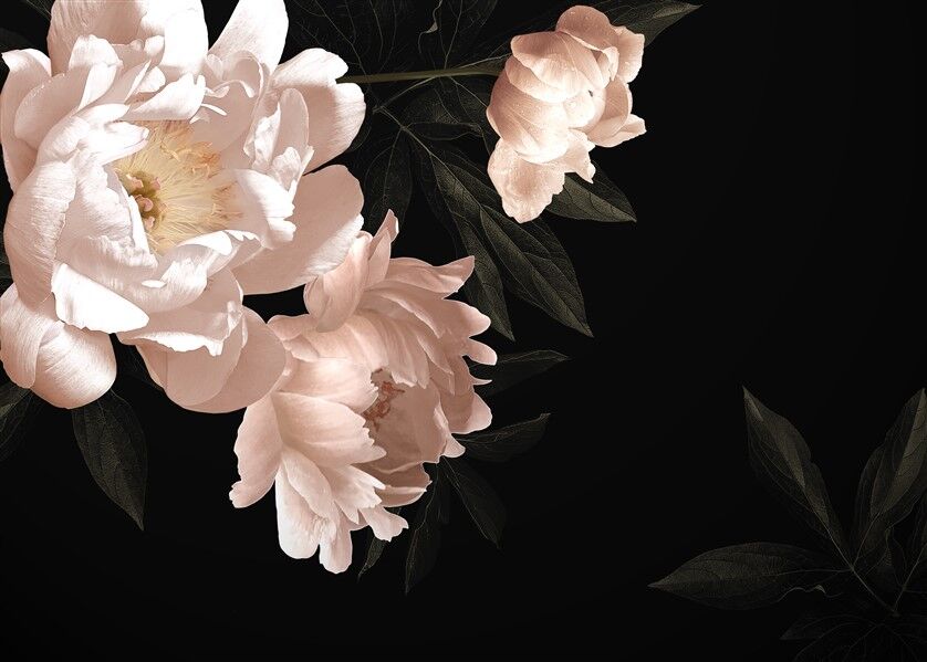 Peonies Vazo Çiçek Desen Posteri