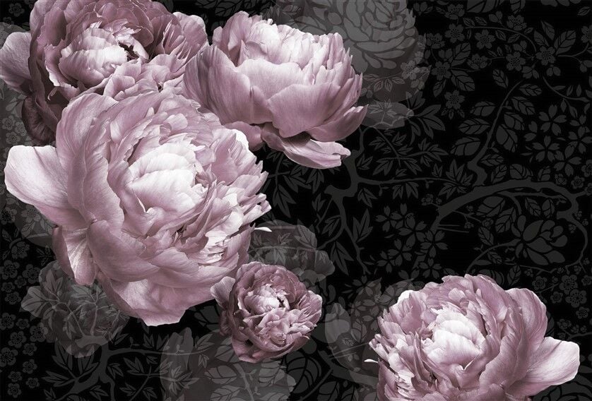 Büyük Pembe Peonies Desenli Posteri