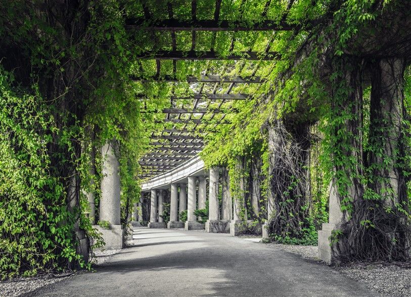 Yeşilin Kalbinde Tarihi Bir Yürüyüş: Wrocław Pergola'sı Duvar Posterleri