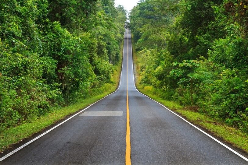 Khao Yai Milli Parkı'nın Kalbinde Uzayan Yol: Doğanın Sessizliğine Yolculuk