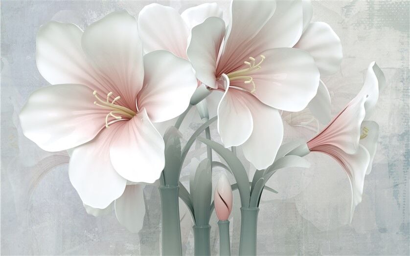 3D Beyaz Amaryllis Çiçeği Posteri