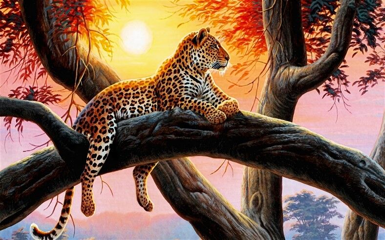 Güneş Batarken Ağacın Üzerinde Dinlenen Leopar Posteri