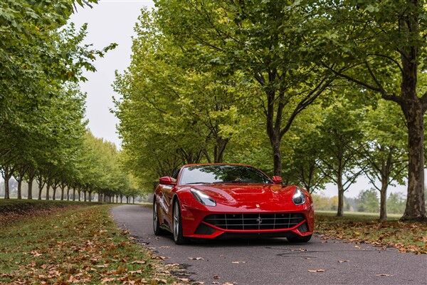 Ferrari Ağaçlı Yol Posteri