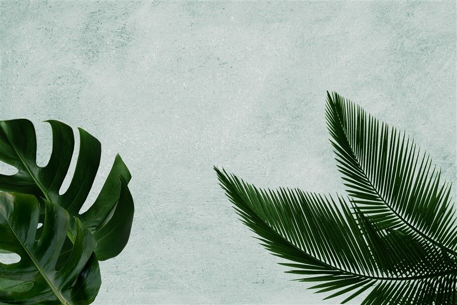 Tropikal Monstera ve Palmiye Yaprakları Duvar Posteri