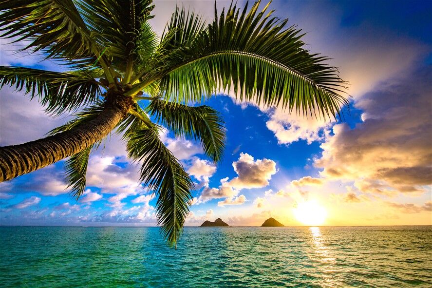 Hawaii Adaları Manzarası Duvar Posteri