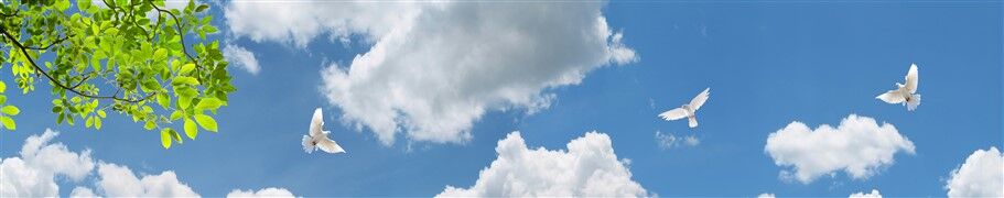 Gökyüzünde Uçan Güvercinler ve Bahar Dalları Manzarası Duvar Posteri